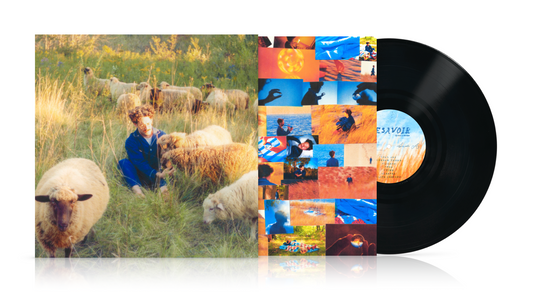 Themes for Dreams Vinyl